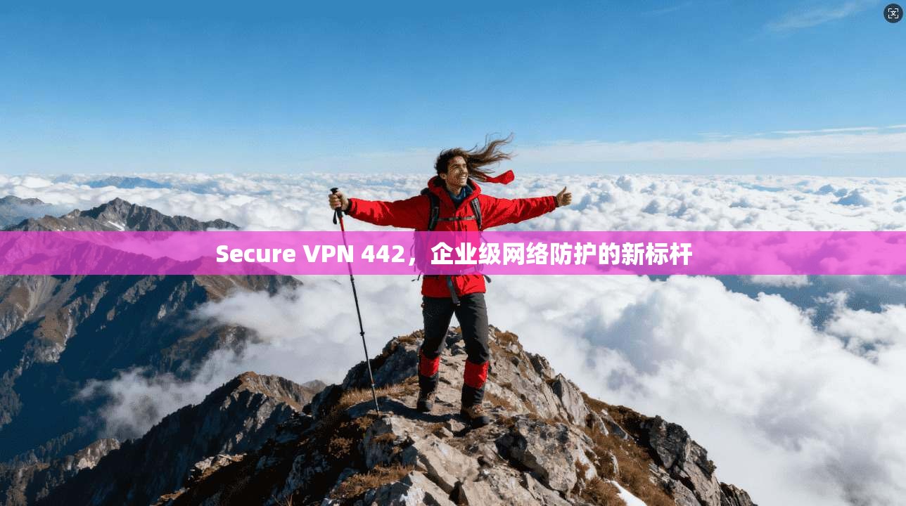 Secure VPN 442，企业级网络防护的新标杆  第1张