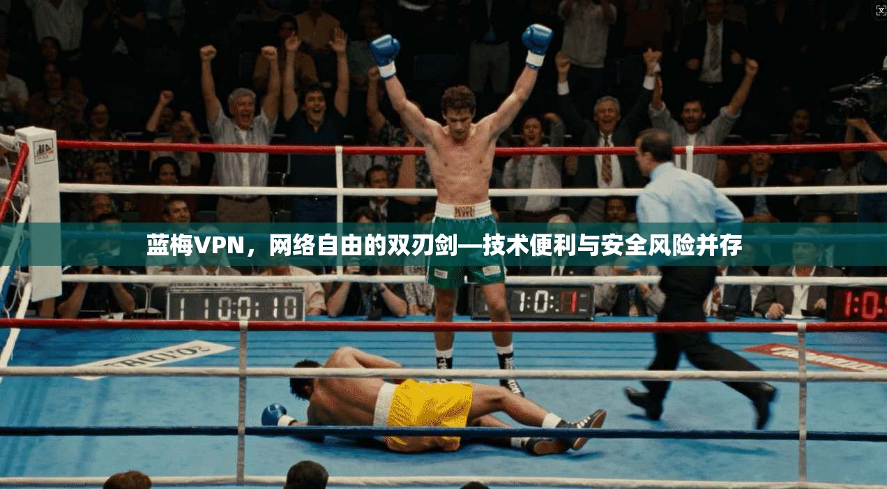 蓝梅VPN,网络自由的双刃剑—技术便利与安全风险并存 第1张 蓝梅VPN,网络自由的双刃剑—技术便利与安全风险并存 第1张