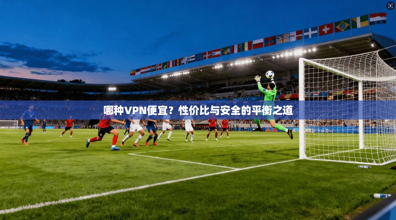 哪种VPN便宜?性价比与安全的平衡之道 第1张 哪种VPN便宜?性价比与安全的平衡之道 第1张