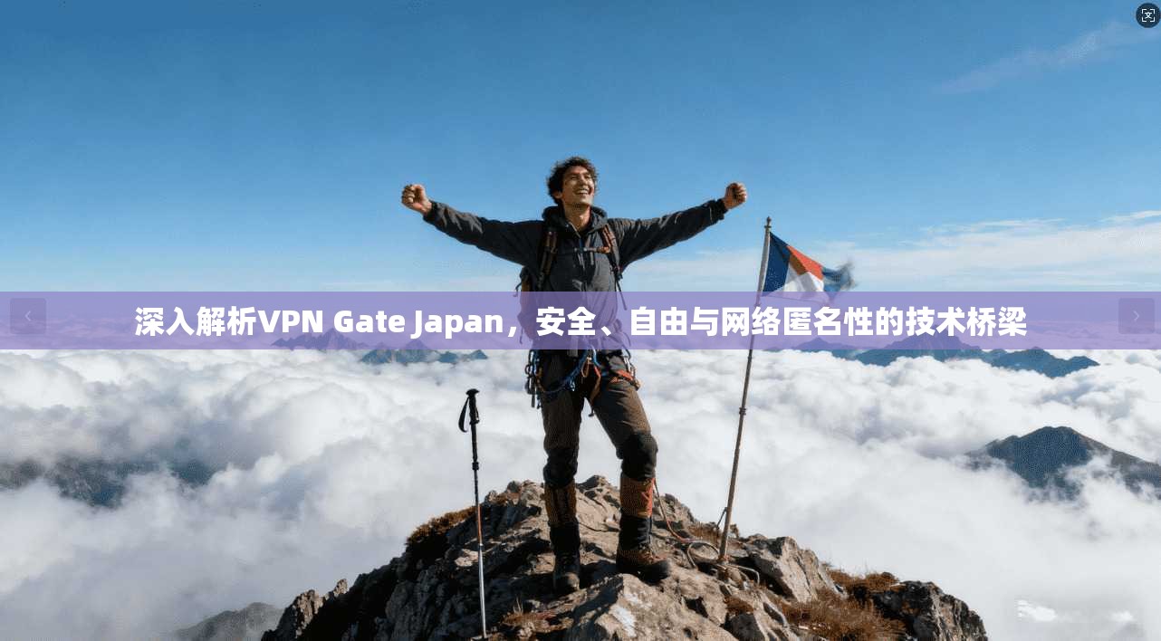 深入解析VPN Gate Japan，安全、自由与网络匿名性的技术桥梁  第1张