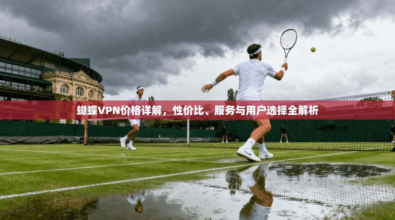 蝴蝶VPN价格详解，性价比、服务与用户选择全解析  第1张