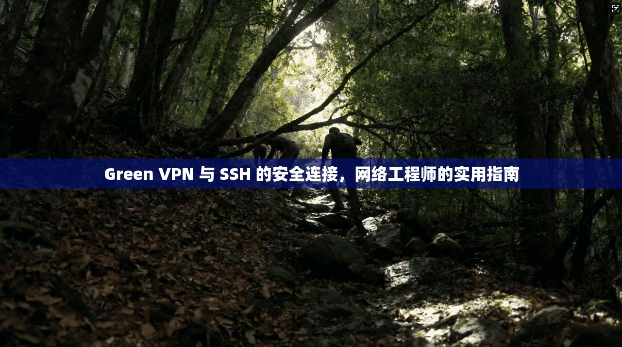 Green VPN 与 SSH 的安全连接,网络工程师的实用指南 第1张 Green VPN 与 SSH 的安全连接,网络工程师的实用指南 第1张