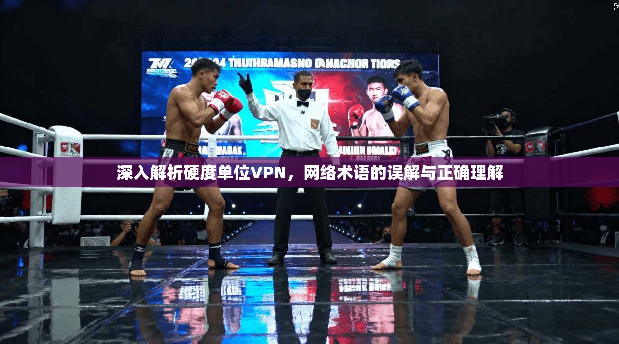 深入解析硬度单位VPN，网络术语的误解与正确理解  第1张