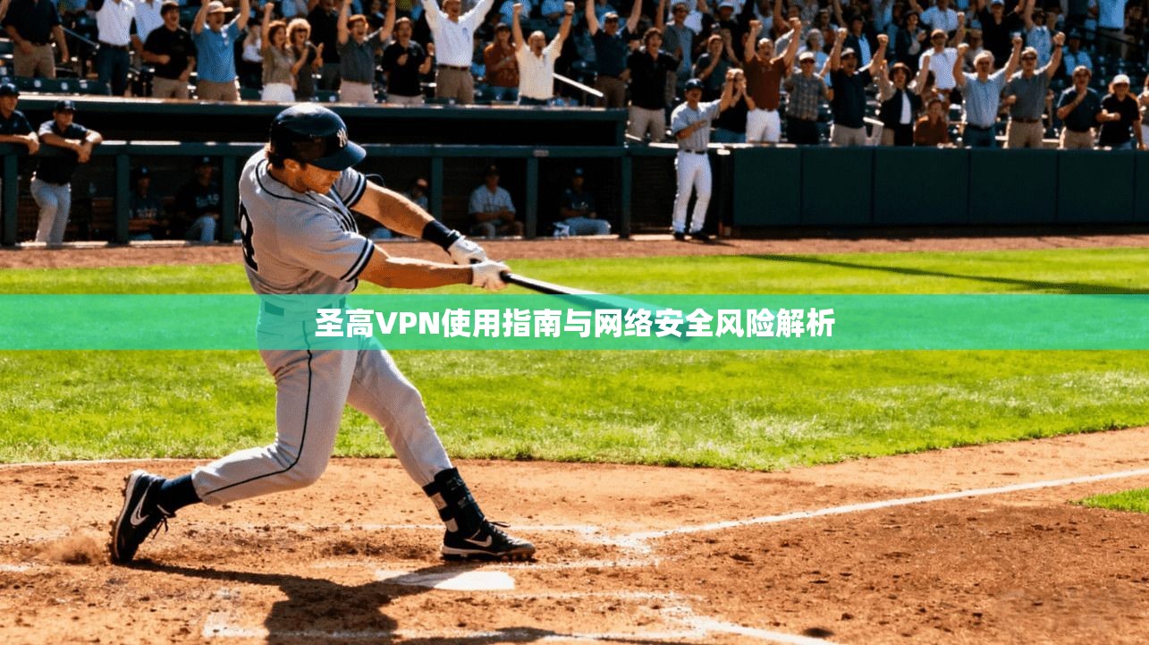 圣高VPN使用指南与网络安全风险解析  第1张