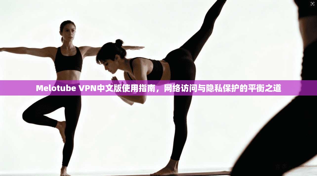 Melotube VPN中文版使用指南，网络访问与隐私保护的平衡之道  第1张