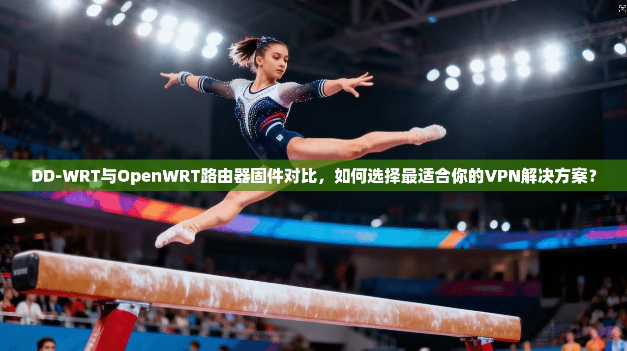 DD-WRT与OpenWRT路由器固件对比,如何选择最适合你的VPN解决方案? 第1张 DD-WRT与OpenWRT路由器固件对比,如何选择最适合你的VPN解决方案? 第1张