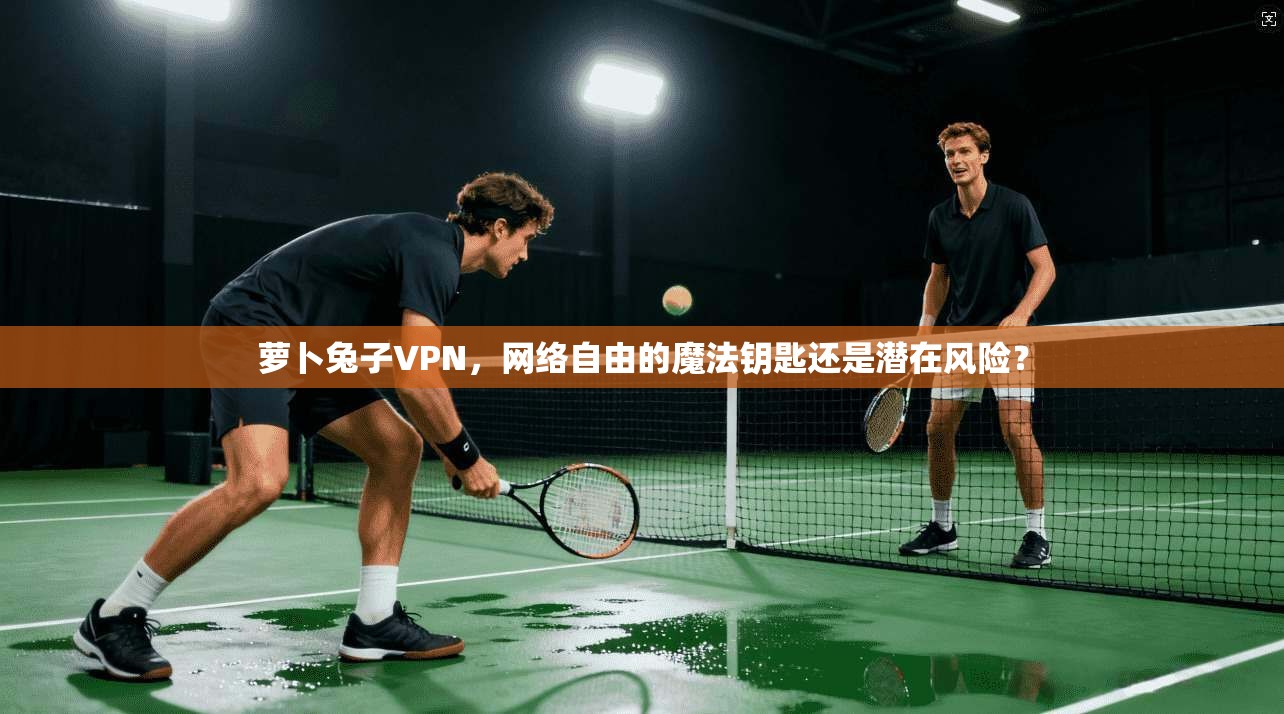 萝卜兔子VPN,网络自由的魔法钥匙还是潜在风险? 第1张 萝卜兔子VPN,网络自由的魔法钥匙还是潜在风险? 第1张