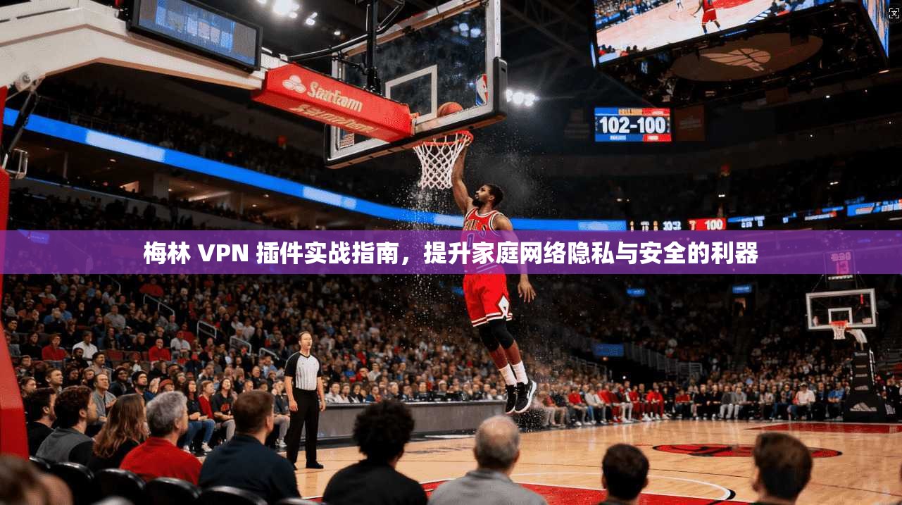 梅林 VPN 插件实战指南，提升家庭网络隐私与安全的利器  第1张