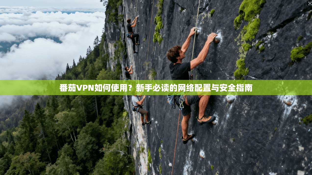 番茄VPN如何使用？新手必读的网络配置与安全指南  第1张
