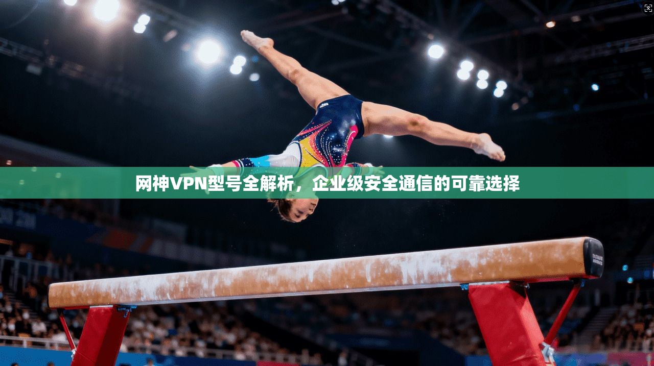 网神VPN型号全解析,企业级安全通信的可靠选择 第1张 网神VPN型号全解析,企业级安全通信的可靠选择 第1张