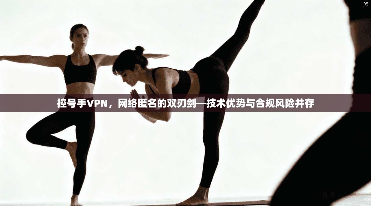 控号手VPN，网络匿名的双刃剑—技术优势与合规风险并存  第1张