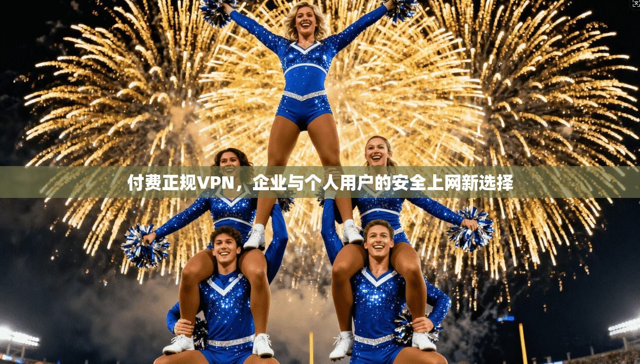 付费正规VPN，企业与个人用户的安全上网新选择  第1张