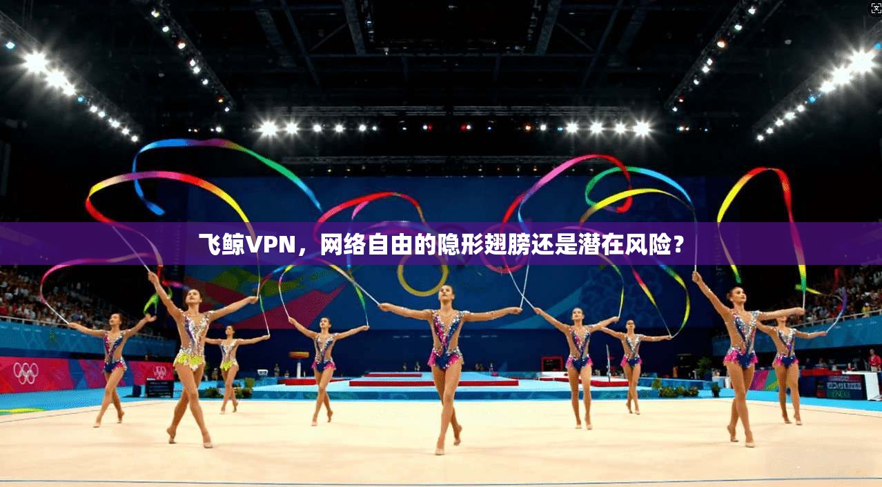 飞鲸VPN，网络自由的隐形翅膀还是潜在风险？  第1张
