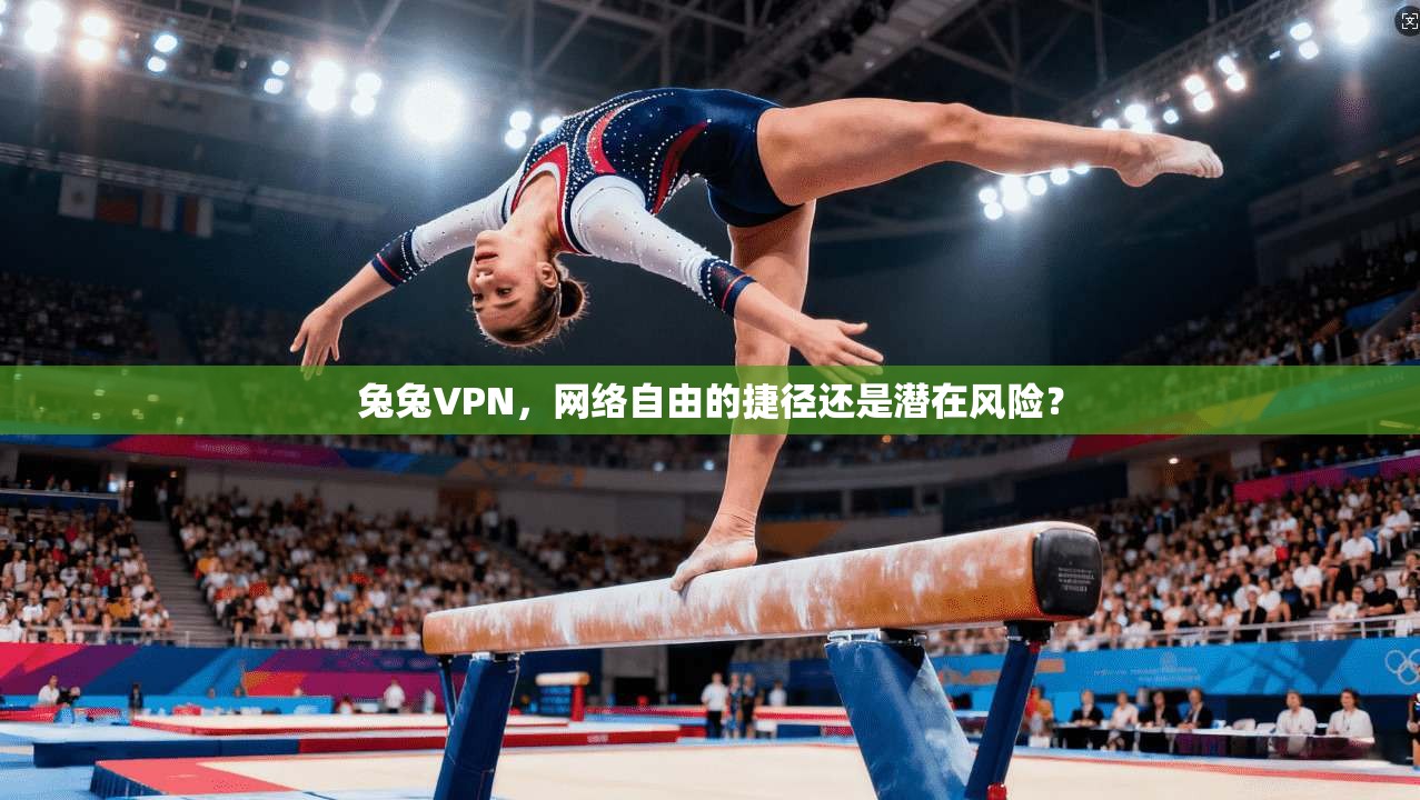 兔兔VPN，网络自由的捷径还是潜在风险？  第1张