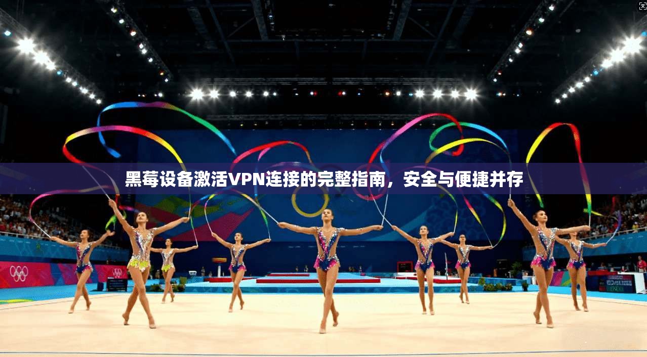 黑莓设备激活VPN连接的完整指南，安全与便捷并存  第1张