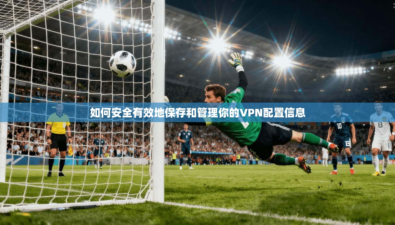 如何安全有效地保存和管理你的VPN配置信息  第1张