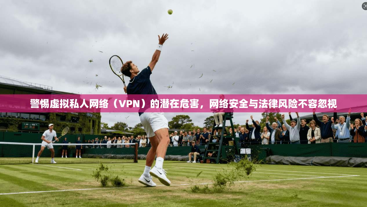 警惕虚拟私人网络（VPN）的潜在危害，网络安全与法律风险不容忽视  第1张