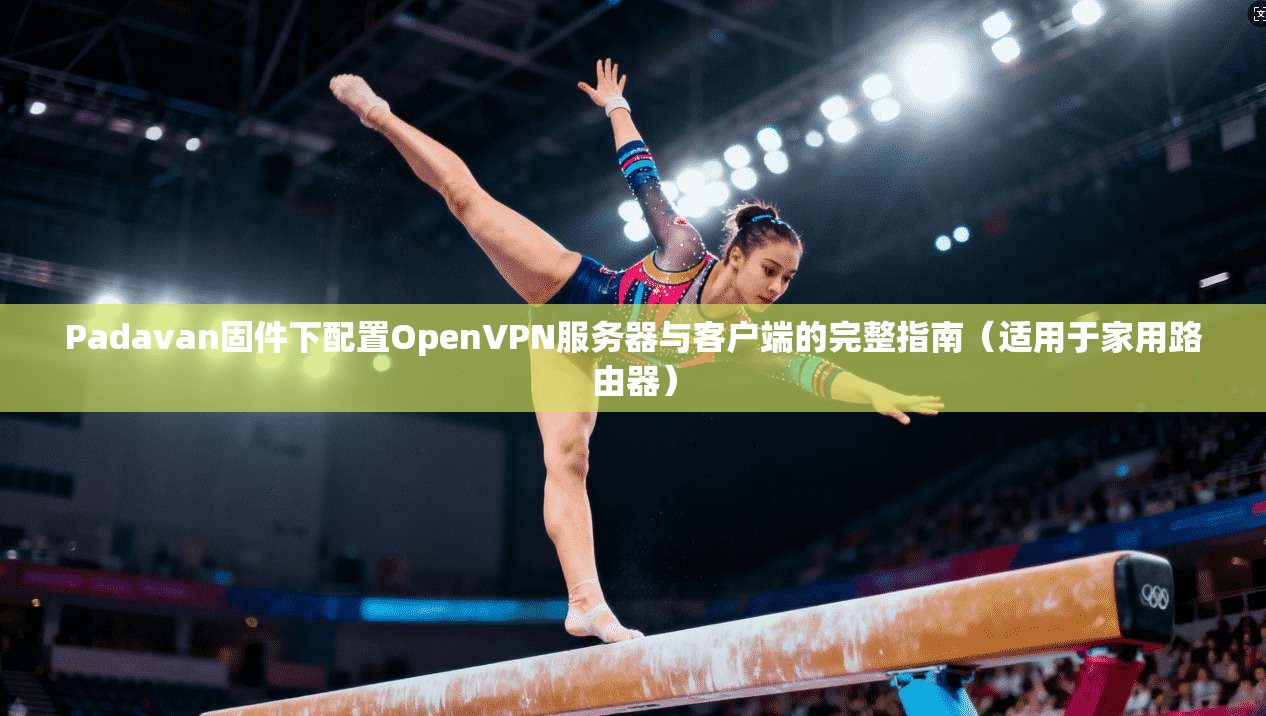 Padavan固件下配置OpenVPN服务器与客户端的完整指南（适用于家用路由器）  第1张