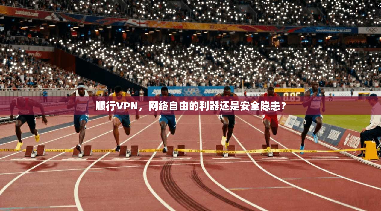 顺行VPN,网络自由的利器还是安全隐患? 第1张 顺行VPN,网络自由的利器还是安全隐患? 第1张