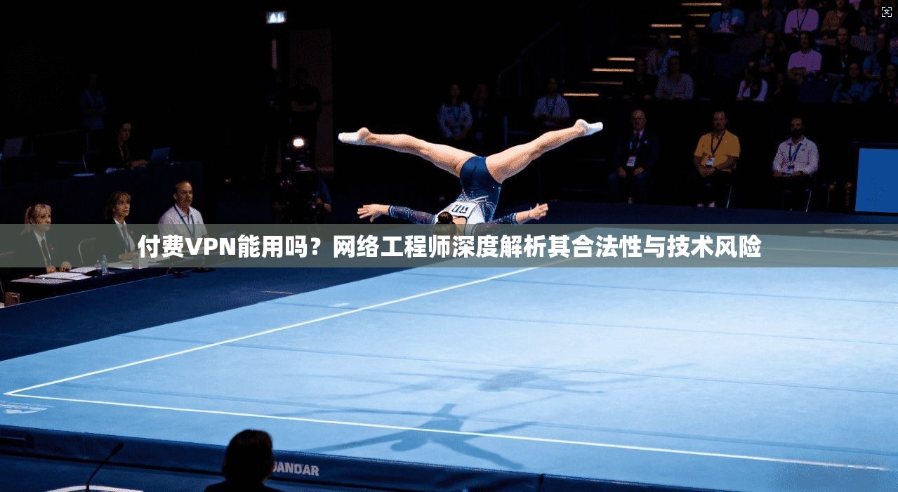 付费VPN能用吗?网络工程师深度解析其合法性与技术风险 第1张 付费VPN能用吗?网络工程师深度解析其合法性与技术风险 第1张