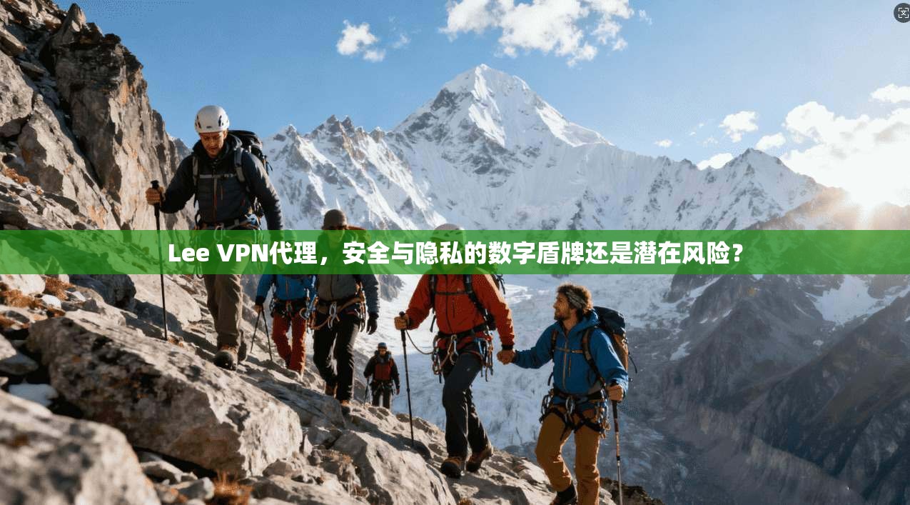 Lee VPN代理，安全与隐私的数字盾牌还是潜在风险？  第1张
