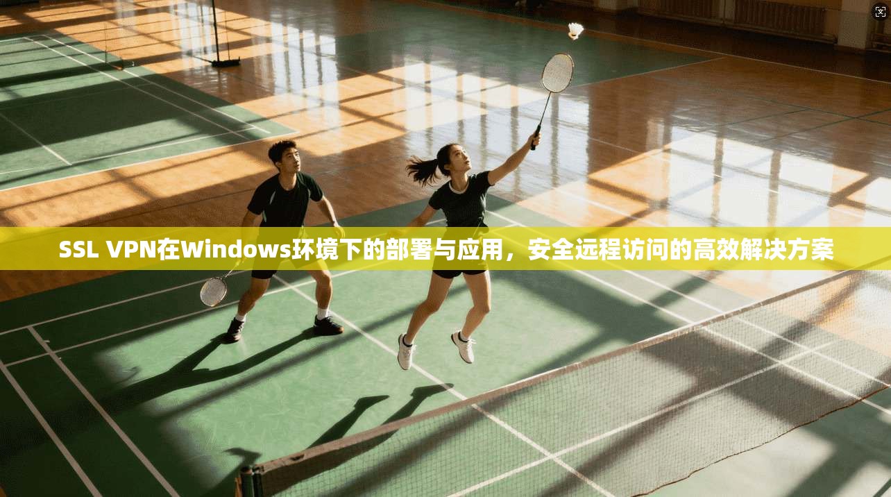 SSL VPN在Windows环境下的部署与应用,安全远程访问的高效解决方案 第1张 SSL VPN在Windows环境下的部署与应用,安全远程访问的高效解决方案 第1张