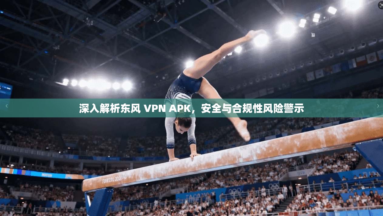 深入解析东风 VPN APK，安全与合规性风险警示  第1张