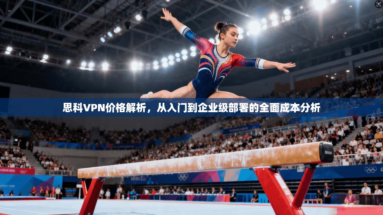 思科VPN价格解析，从入门到企业级部署的全面成本分析  第1张
