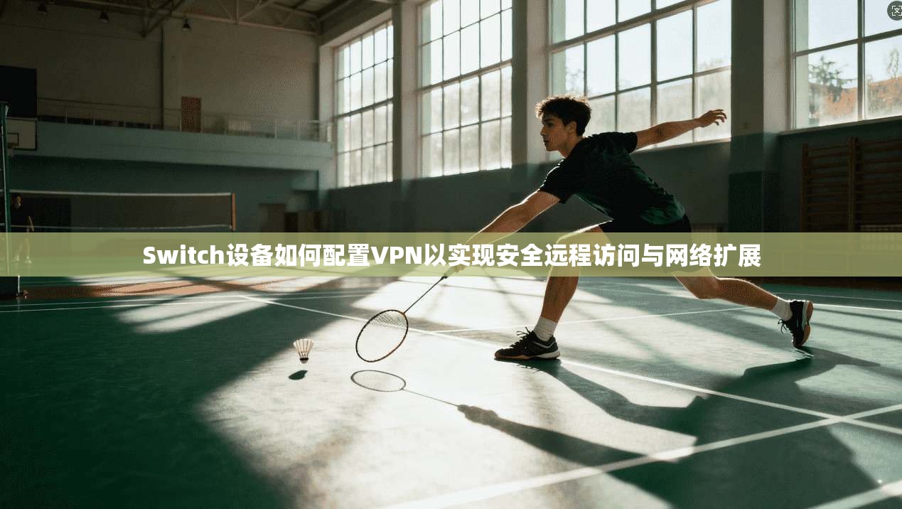 Switch设备如何配置VPN以实现安全远程访问与网络扩展  第1张