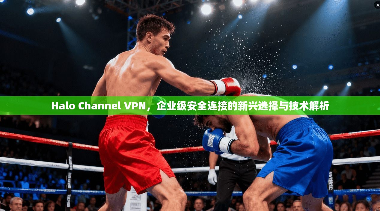 Halo Channel VPN，企业级安全连接的新兴选择与技术解析  第1张