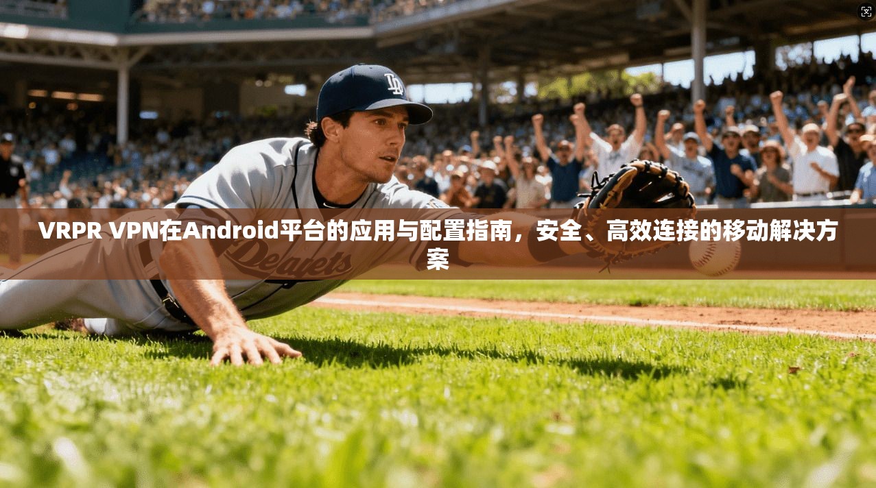 VRPR VPN在Android平台的应用与配置指南，安全、高效连接的移动解决方案  第1张
