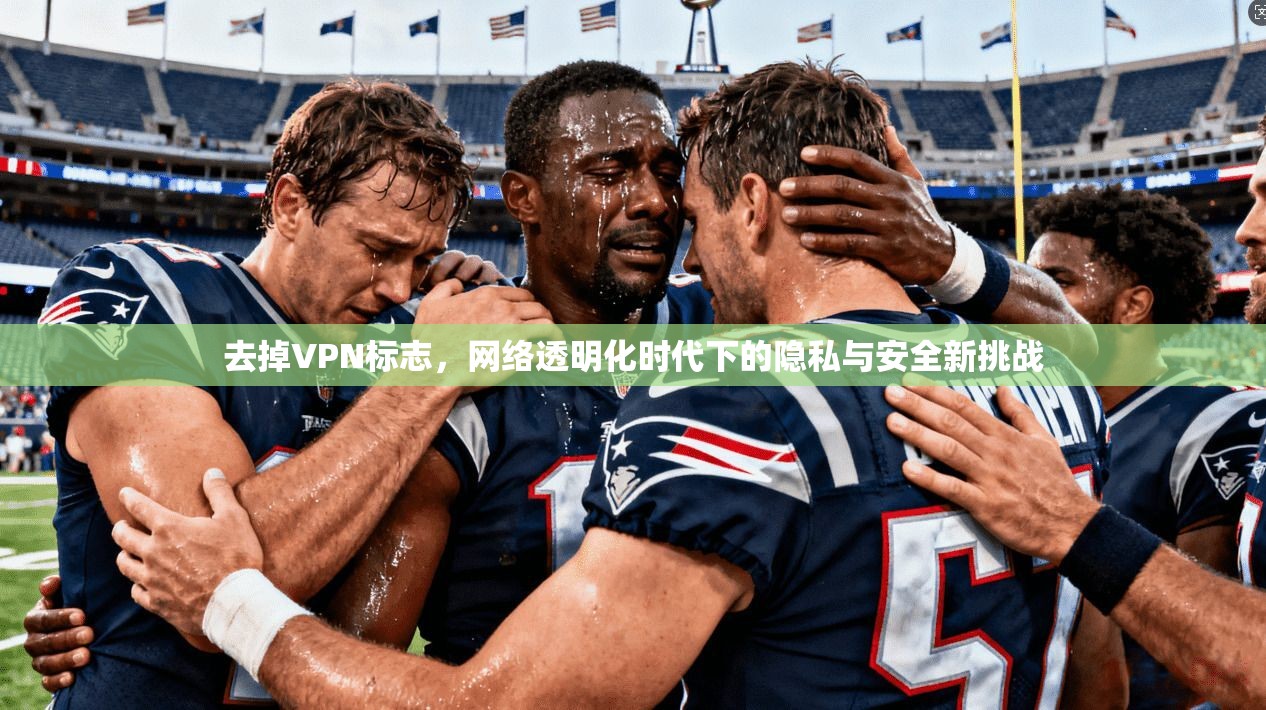 去掉VPN标志，网络透明化时代下的隐私与安全新挑战  第1张