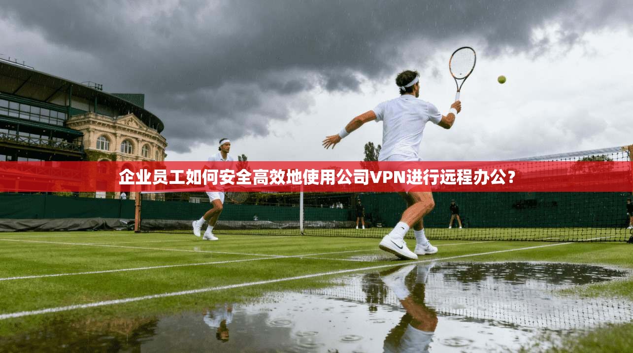 企业员工如何安全高效地使用公司VPN进行远程办公? 第1张 企业员工如何安全高效地使用公司VPN进行远程办公? 第1张