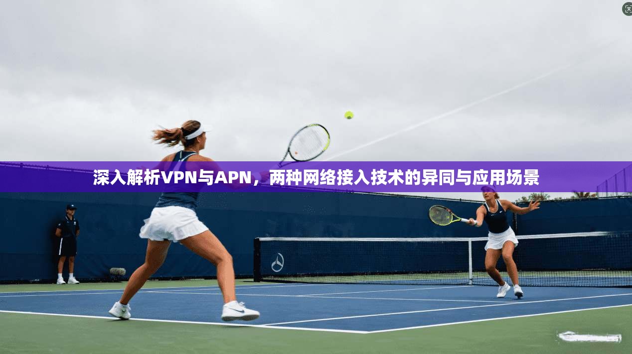 深入解析VPN与APN，两种网络接入技术的异同与应用场景  第1张