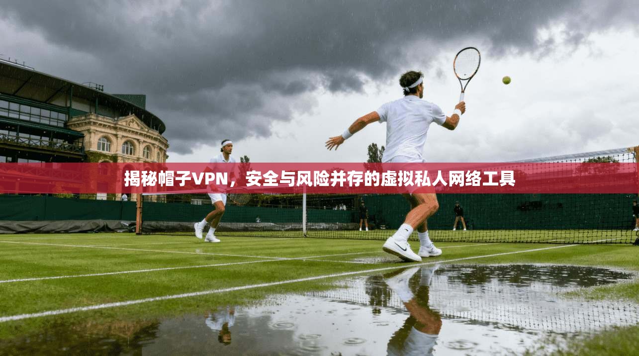 揭秘帽子VPN，安全与风险并存的虚拟私人网络工具  第1张