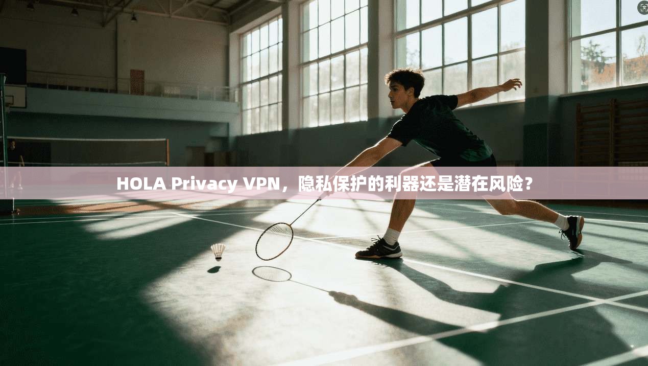 HOLA Privacy VPN，隐私保护的利器还是潜在风险？  第1张