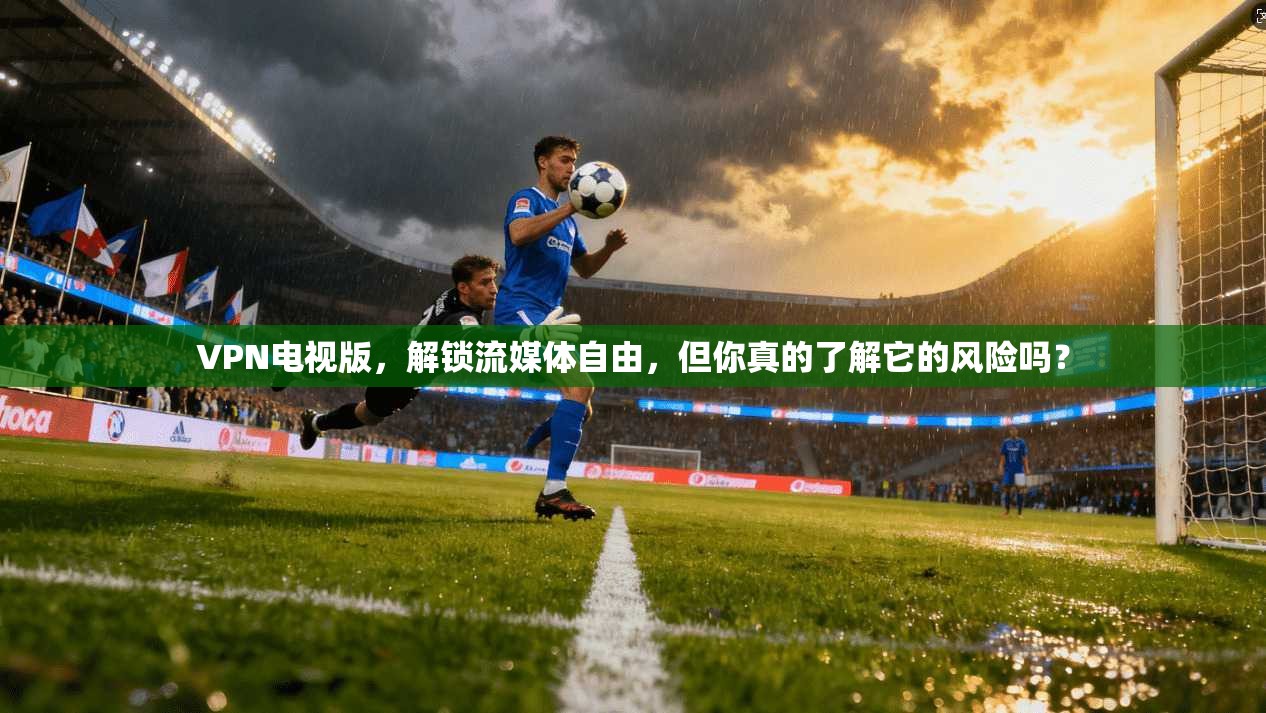 VPN电视版,解锁流媒体自由,但你真的了解它的风险吗? 第1张 VPN电视版,解锁流媒体自由,但你真的了解它的风险吗? 第1张