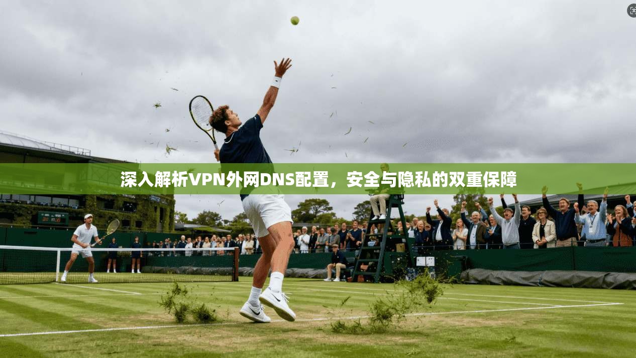 深入解析VPN外网DNS配置，安全与隐私的双重保障  第1张