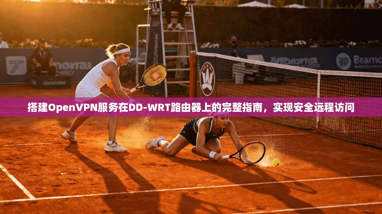 搭建OpenVPN服务在DD-WRT路由器上的完整指南,实现安全远程访问 第1张 搭建OpenVPN服务在DD-WRT路由器上的完整指南,实现安全远程访问 第1张