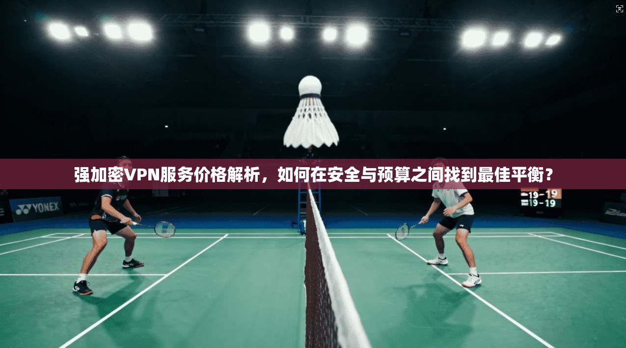 强加密VPN服务价格解析，如何在安全与预算之间找到最佳平衡？  第1张