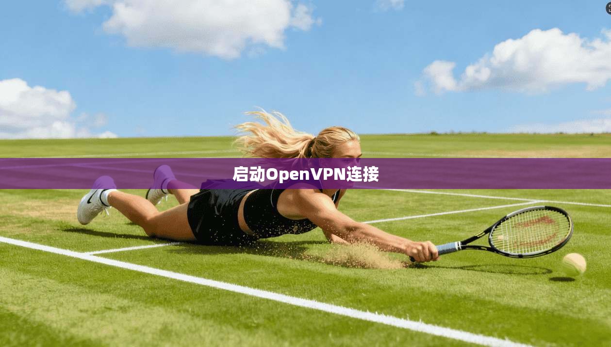 启动OpenVPN连接 第1张 启动OpenVPN连接 第1张