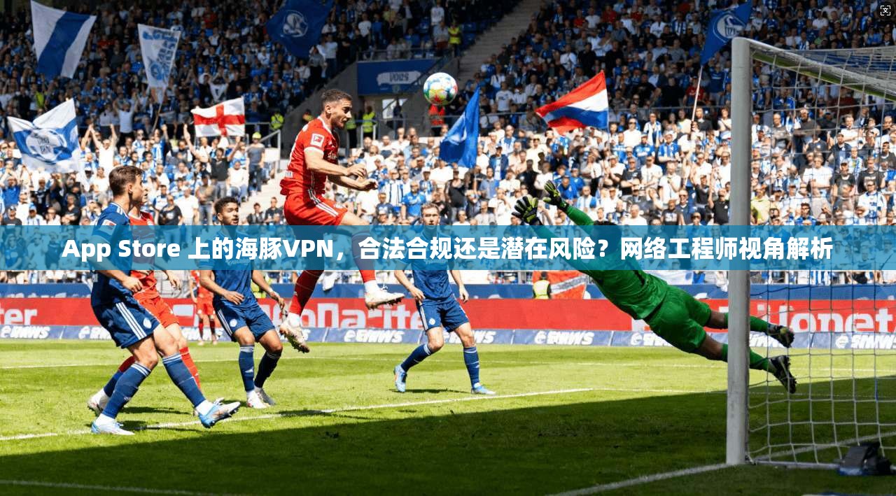 App Store 上的海豚VPN,合法合规还是潜在风险?网络工程师视角解析 第1张 App Store 上的海豚VPN,合法合规还是潜在风险?网络工程师视角解析 第1张