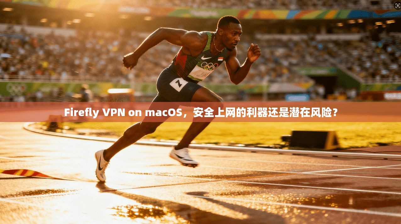 Firefly VPN on macOS，安全上网的利器还是潜在风险？  第1张