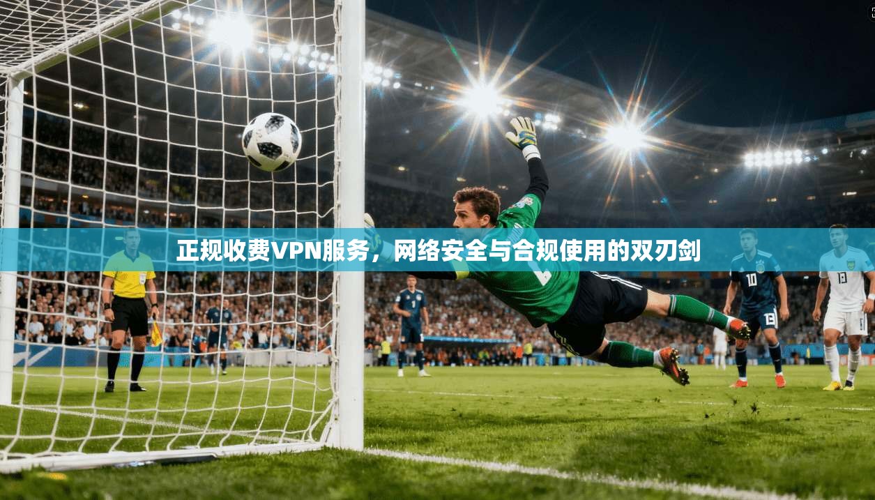 正规收费VPN服务，网络安全与合规使用的双刃剑  第1张