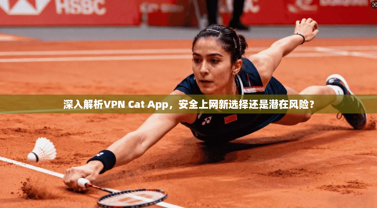 深入解析VPN Cat App，安全上网新选择还是潜在风险？  第1张