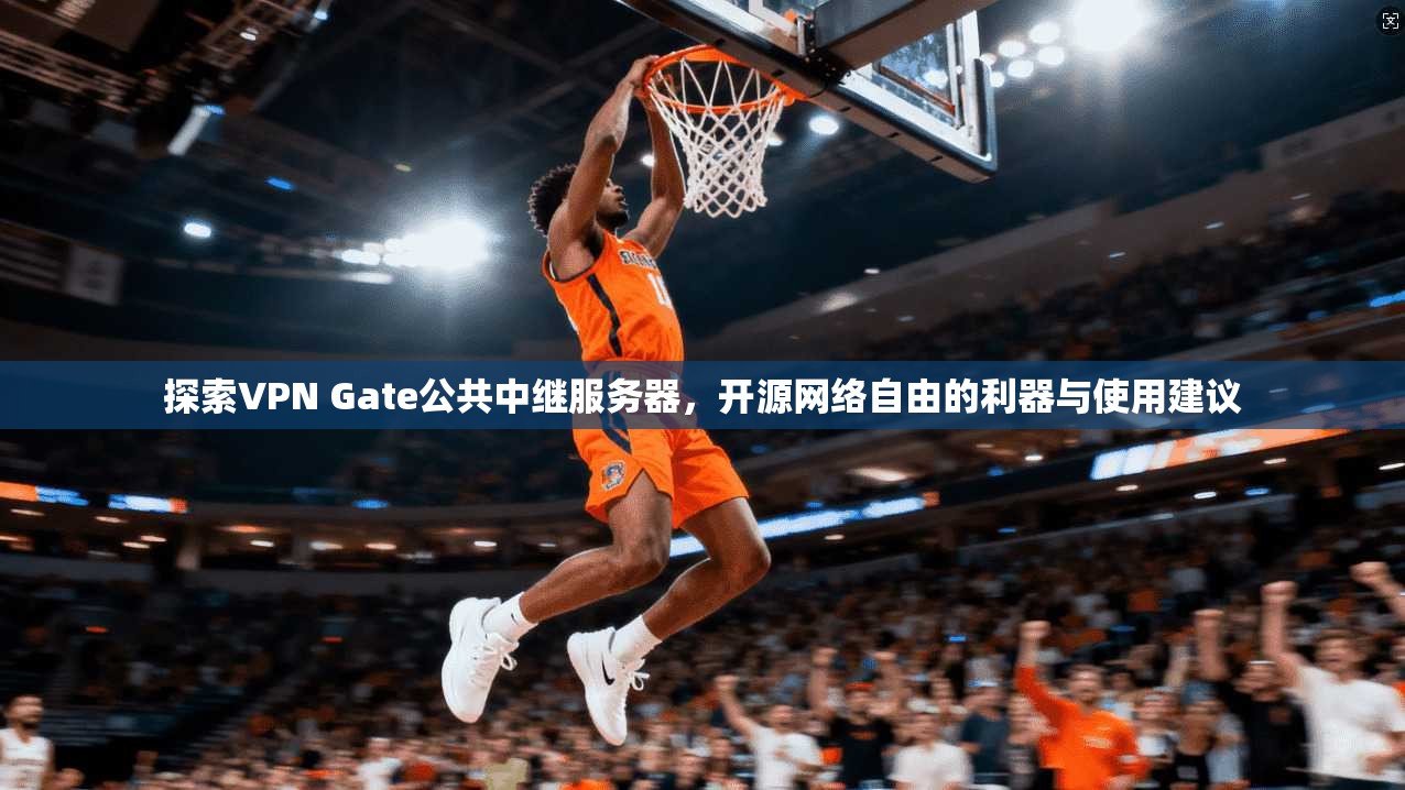 探索VPN Gate公共中继服务器，开源网络自由的利器与使用建议  第1张