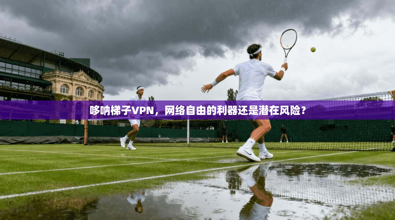 哆呐梯子VPN,网络自由的利器还是潜在风险? 第1张 哆呐梯子VPN,网络自由的利器还是潜在风险? 第1张