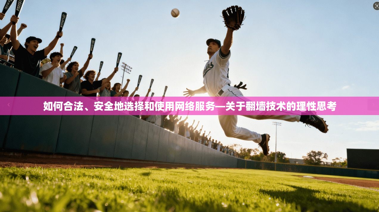 如何合法、安全地选择和使用网络服务—关于翻墙技术的理性思考 第1张 如何合法、安全地选择和使用网络服务—关于翻墙技术的理性思考 第1张