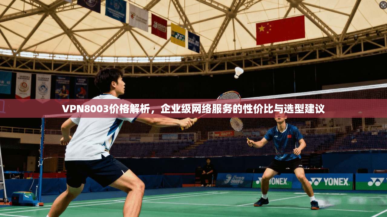 VPN8003价格解析，企业级网络服务的性价比与选型建议  第1张