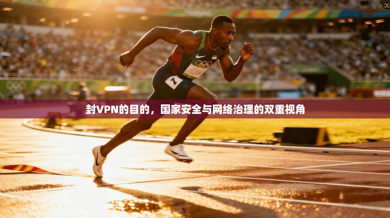 封VPN的目的，国家安全与网络治理的双重视角  第1张